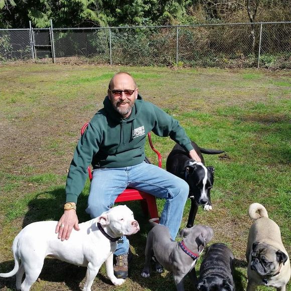 Meet your Posher, Randy - Picture 1 of 1